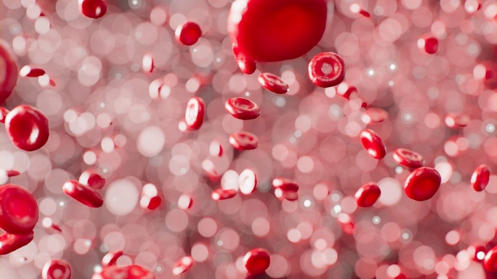 Red blood cells